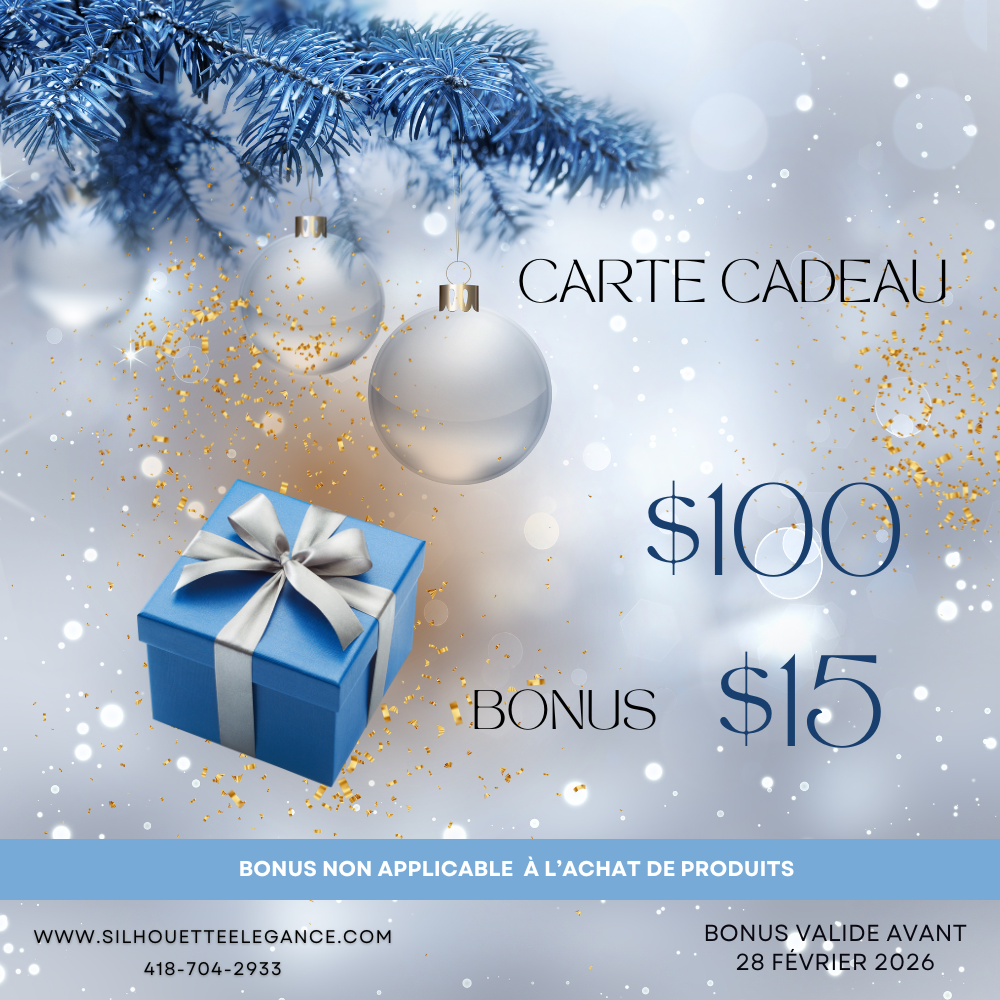 Carte cadeau des fêtes 100 $