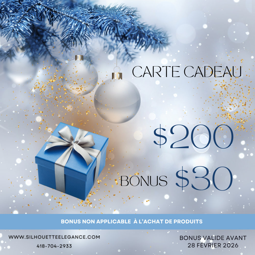 Carte cadeau des fêtes 200 $