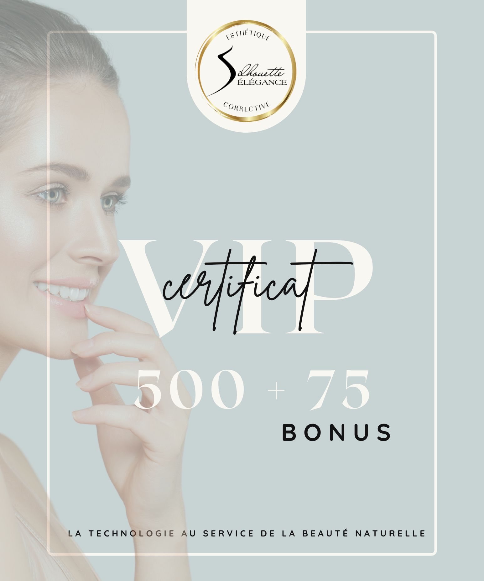 Cert_VIP_500_75_3.png