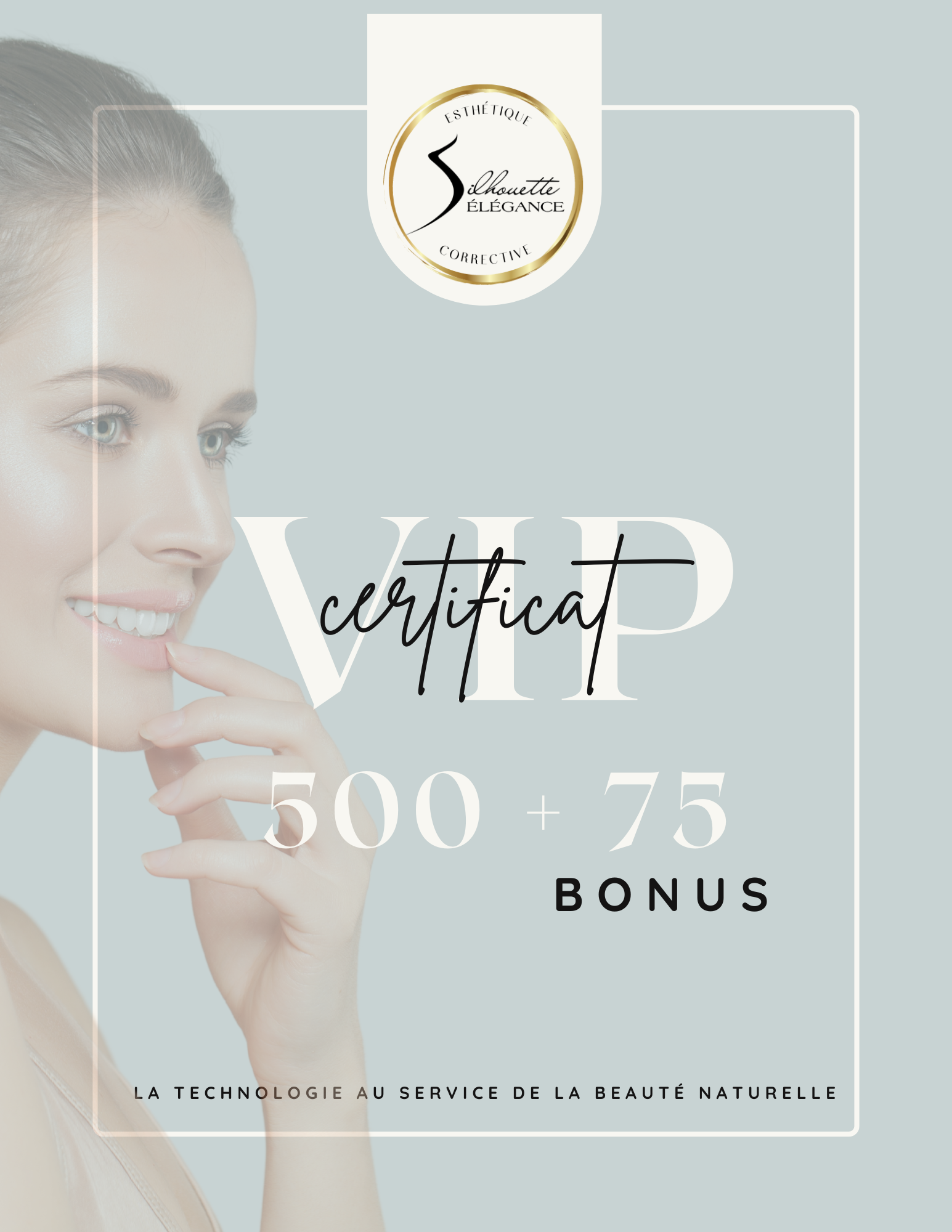 Certificat VIP 500 $