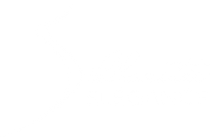 Silhouette Elégance